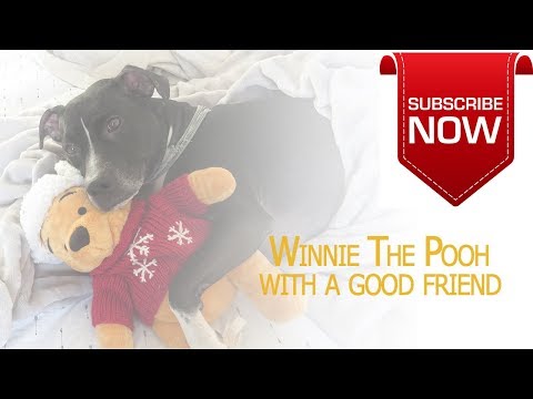 Winnie The Pooh With A Good Friend