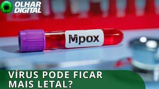Miniatura do vídeo