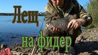 Кого ловить в великой псков