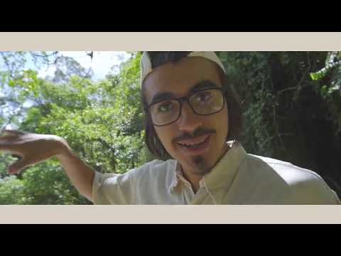 Simplicidade - Vitor Soltau