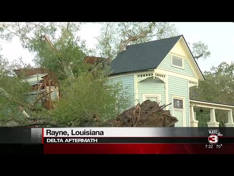 Large tree falls on newly renovated home in Rayne