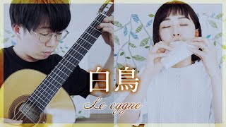 Download lagu 【演奏と解説】19.白鳥 -C.サン=サーンス【オカリナとギター】 mp3 Download lagu 【演奏と解説】19.白鳥 -C.サン=サーンス【オカリナとギター】 mp3