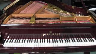 Player Piano &quot;Carry On Regardless&quot; Van Morrison