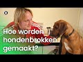 Hoe worden hondenbrokken gemaakt? | Vragen van Kinderen