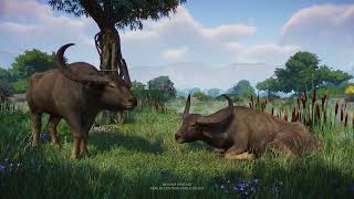 VideoImage1 Planet Zoo: Wetlands Animal Pack