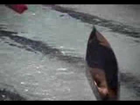 Hand of God: Sea Kayaking Rescue Technique