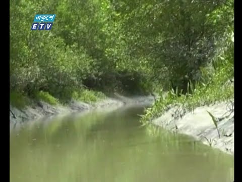 সাত মাস বন্ধ থাকার পর কাল থেকে ম্যানগ্রোভ ফরেস্ট সুন্দরবনের দ্বার উন্মুক্ত হচ্ছে