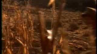 Seasons of the Heart (1993) Video