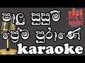 Palu Susum Gena Ridum (Pera Sansare) - Amila Karunarathne - Karaoke - Without Voice