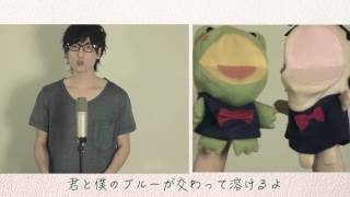 【白猫】真夏の太陽 大原櫻子（フルカバー）   Midsummer sun   Sakurako Ohara   KOBASOLO Cover