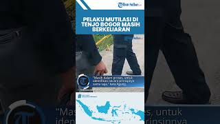 Update Mayat Pria di Dalam Koper Merah di Tenjo Bogor, Pelaku Mutilasi Masih Berkeliaran