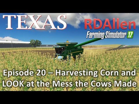 Farming Simulator 17 MP Texas E20 - Harvesting Corn and Wow! the Cow Mess!