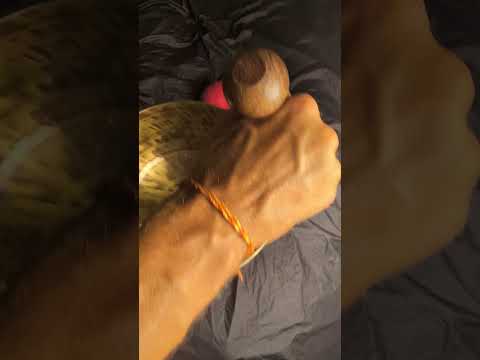 [X12], New Jambati singing bowl, preorder — VAYU sounds