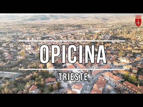 Opicina