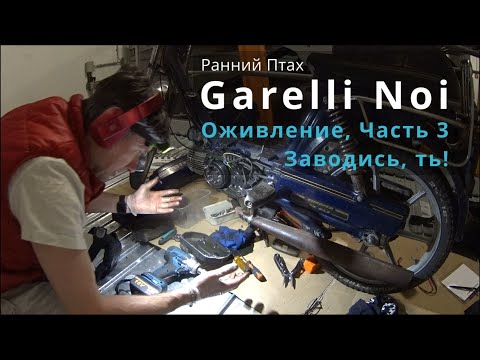 Оживление Garelli Noi, Часть 3: Заводиcь, ть!  #Гарнелька Гарелли Нои.