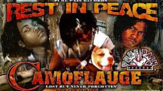 camoflauge-professional