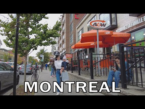 Montreal Neighborhood Walk | Côte-des-Neiges - Autumn 2023