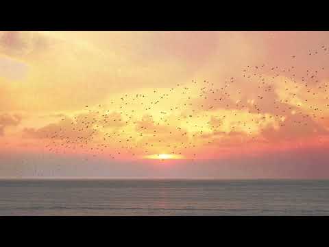 Von Hertzen Brothers - Starlings