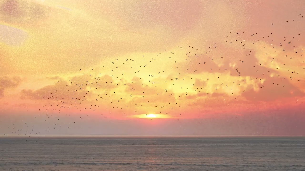 Von Hertzen Brothers - Starlings - YouTube