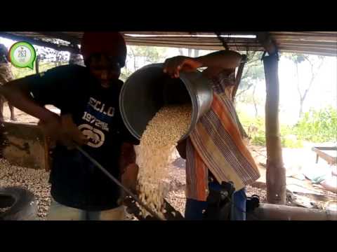 download lagu mp3 mp4 Maputi, download lagu Maputi gratis, unduh video klip Maputi