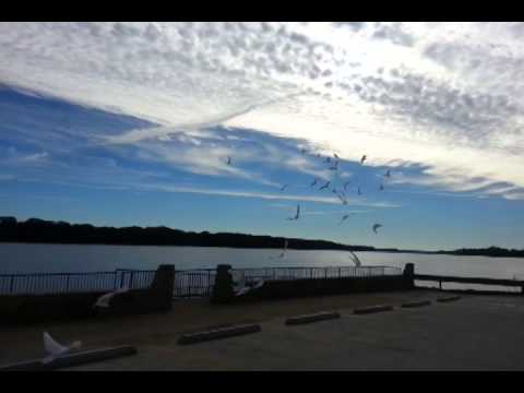 Promotional video thumbnail 1 for St Louis Doves Release Company