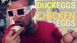Duck Eggs vs Chicken Eggs