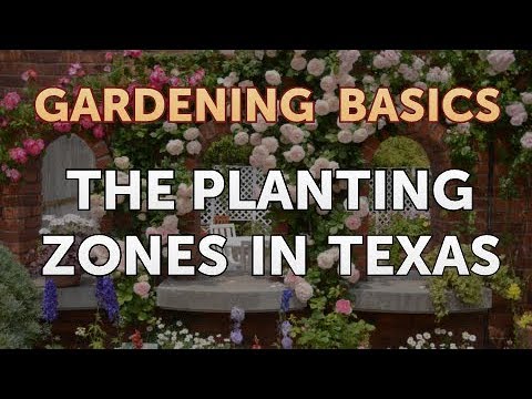 YouTube video about: What planting zone is waxahachie tx?