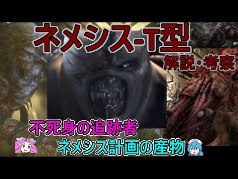 ネメシス (スター)について詳しく解説