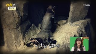 [HahaLand]하하랜드ep.02 - Ridiculous face of the chick drama!막장 중의 막장 펭귄 드라마!20170608