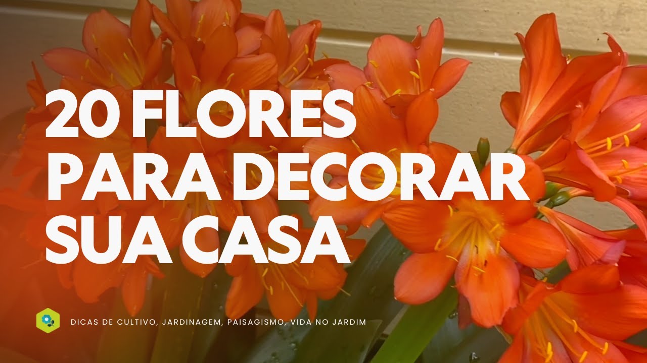 20 FLORES para DECORAR sua CASA na PRIMAVERA