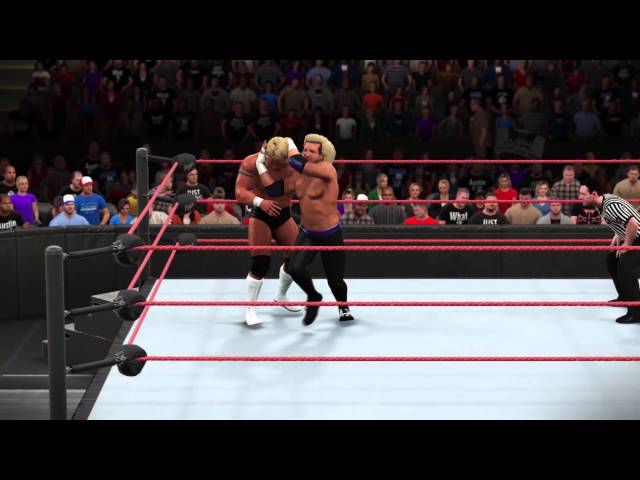Video - WWE 2K15 (PC)