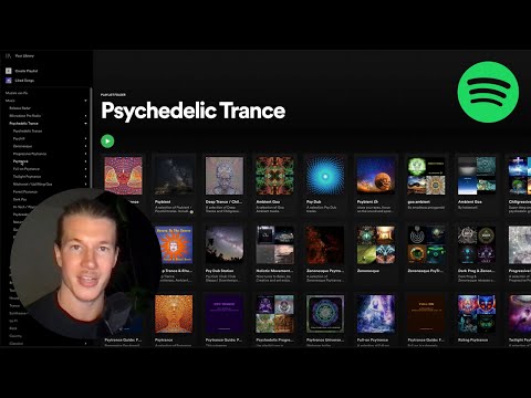 Organize Spotify Library: Folders, Intake, Sub-Playlists