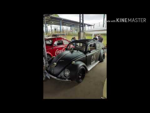 DNF CURITIBA 2020 CEASA: Dia Nacional do fusca