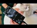 Best Veterinary handheld ultrasound SonoEye