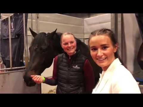 Dag 1 - Hingstekåring i Herning 2019 - jenteturen