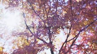 The Vines Lyrics Autumn Shade 3 - A.S. III