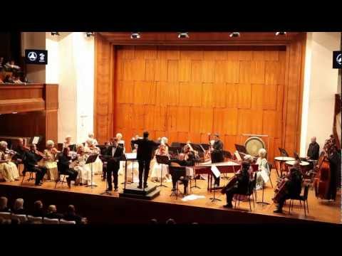 G. F. Handel: Arias from the opera Rinaldo