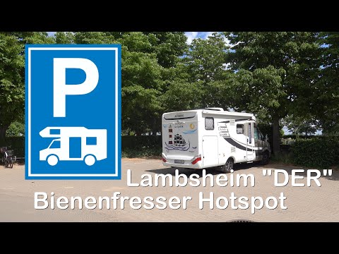 WoMo - Wohnmobil Stellplatz Lambsheim - DER Bienenfresser Hotspot . . .