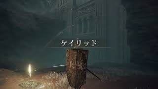 エルデの王になる！迷子KyoHeyの【エルデンリング】第１４話