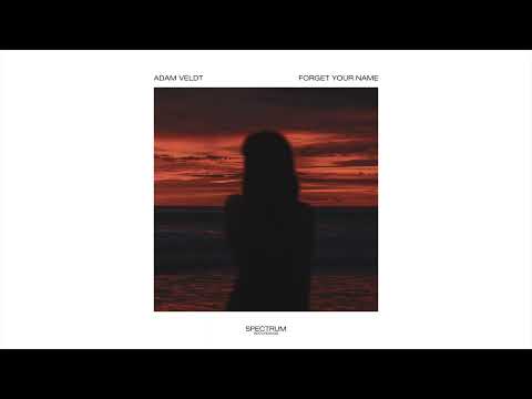 Adam Veldt - Forget Your Name