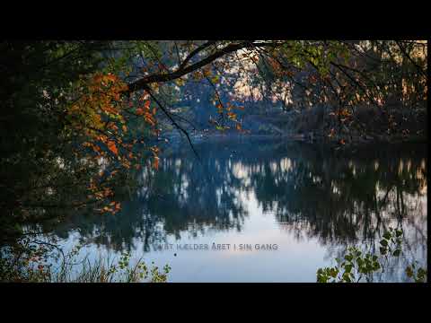 Dybt hælder året i sin gang
