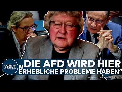 Video Thumbnail: DEUTSCHLAND: AfD auf dem Weg zur Regierungspartei? Werner Patzelt sieht entscheidende Probleme