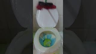 ASMR de limpeza COLORIDO🧼🫧 #cleaningasmr  #limpezasatisfatoria #asmrsatisfatorio #rotinadelimpeza