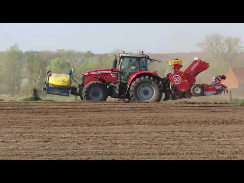 Verhelst B.: Aardappels planten.