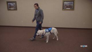 SDWR Training Meeting Someone They Are Afraid Of