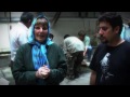 Clip Leopard Release Iran