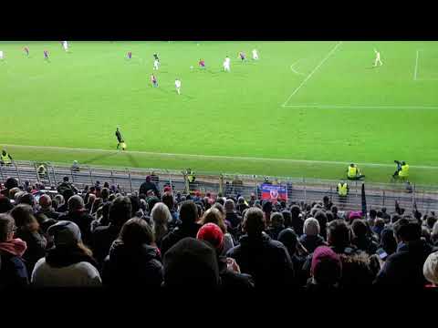 KFC UERDINGEN Möpse