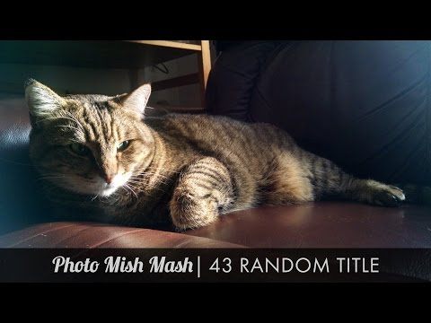 Photo Mish Mash LIVE: Ep 43 Falcon Mark IV