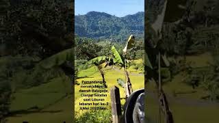 Download lagu view menakjubkan di Balegede, Cianjur Selatan saat liburan Lebaran hari ke-2, 3 Mei'22 lalu mp3 Download lagu view menakjubkan di Balegede, Cianjur Selatan saat liburan Lebaran hari ke-2, 3 Mei'22 lalu mp3