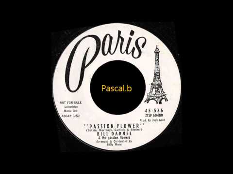 Bill Darnell - Passion flower